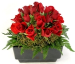 damayman.com damayman.com